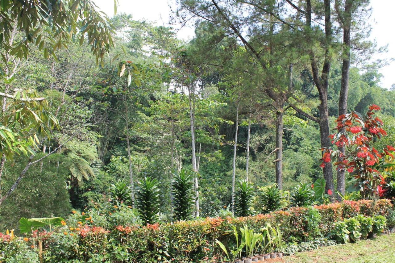 The Forest Villa Bogor Exterior photo