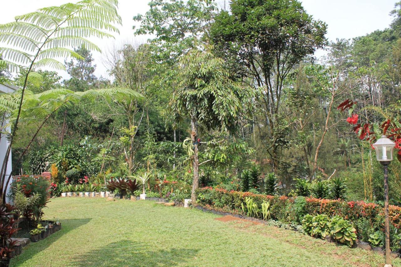 The Forest Villa Bogor Exterior photo